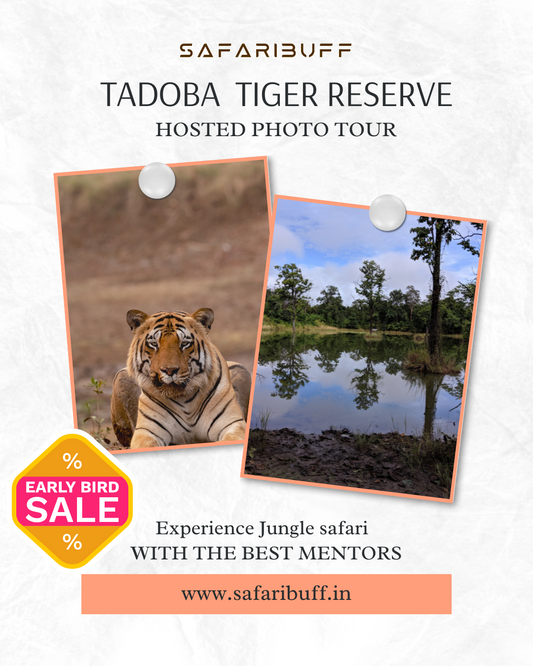 TADOBA TIGER RESERVE